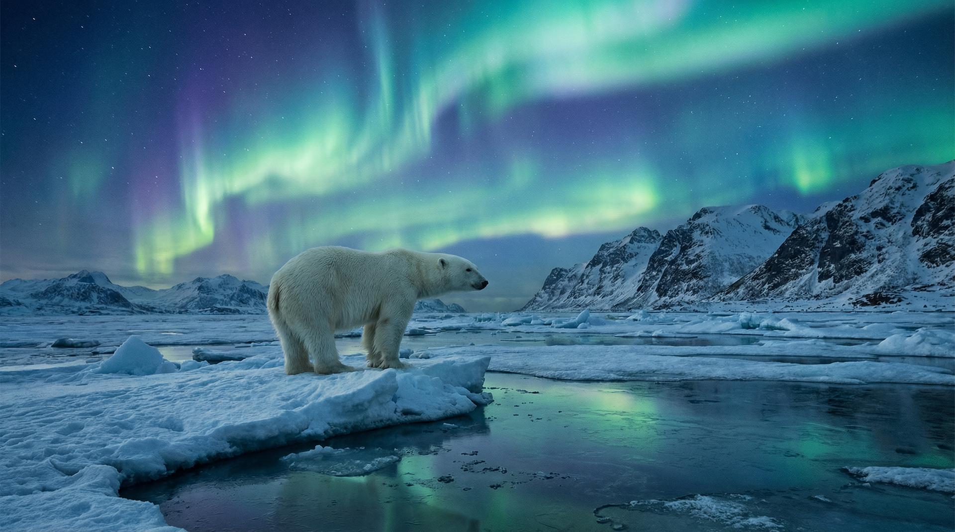 芒果视频杰尼龟视频